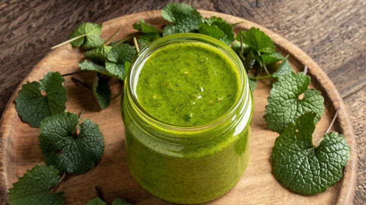 pesto made from garlic mustard leaves