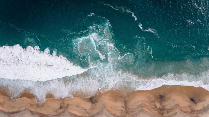 Rising ocean temperatures are increasing the frequency of algal blooms off the western coast of the United States, including one type of bloom that is extremely toxic, according to a new study published by Frontiers