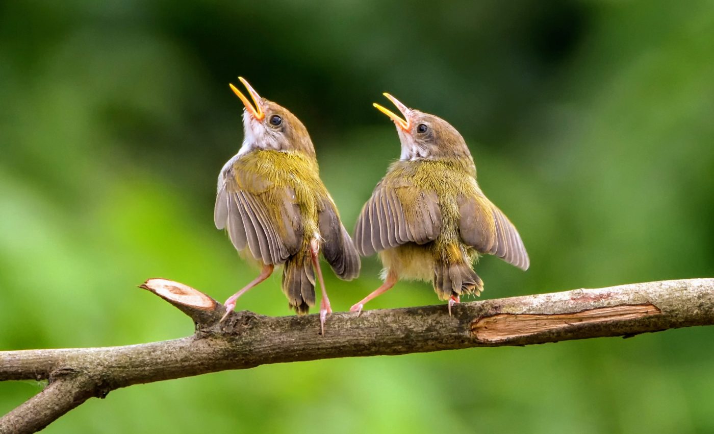 shutterstock_4727852292- 