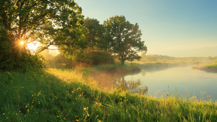 According to a new study led by the International Institute of Applied Systems Analysis, human activities are transforming grasslands from a natural carbon sink into a source of greenhouse gas emissions