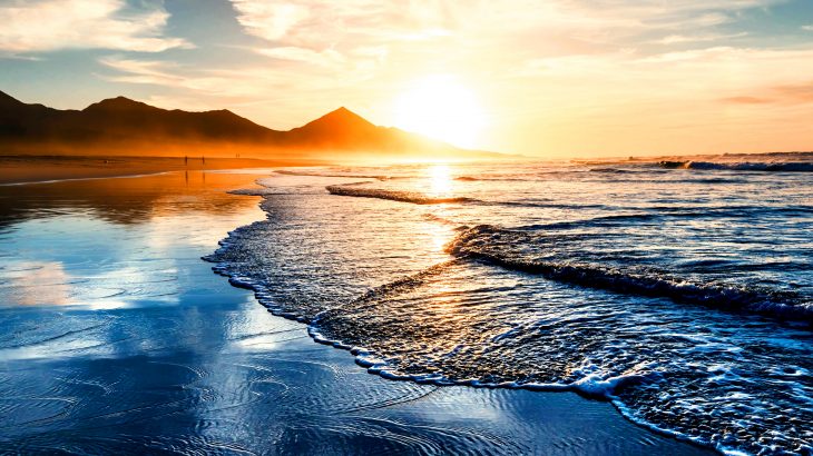 The experts report that ocean temperatures from the surface water all the way down to a depth of 2,000 meters reached their hottest levels since 1955.