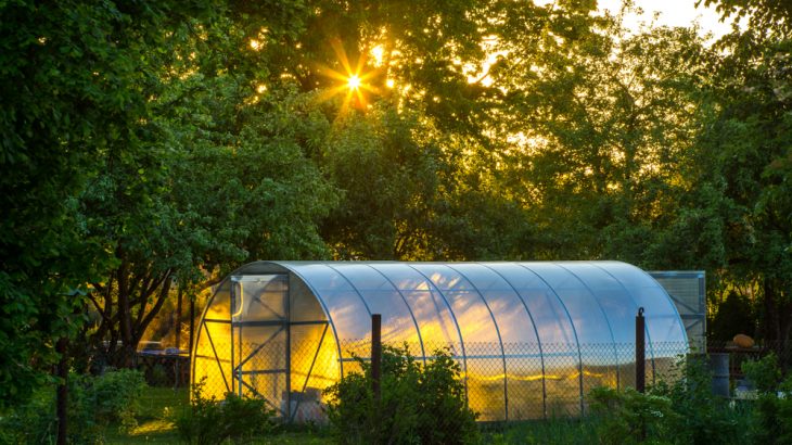greenhouse