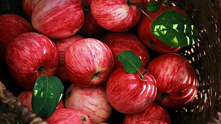 Natural compounds found in apples can improve brain function, according to a new study from the International Society for Stem Cell Research.