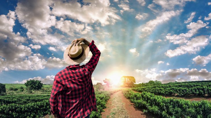 A new study from the University of Vermont has pinpointed farmland in the United States that could be targeted to reduce nitrogen pollution.