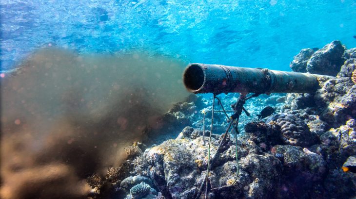 An international group of scientists is calling for global action to inform policymakers and the public about the widespread threat of chemical pollution