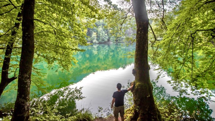 The results of the current study also suggest that feeling connected with nature can protect against the detrimental mental health effects of traumatic events like the COVID-19 pandemic.