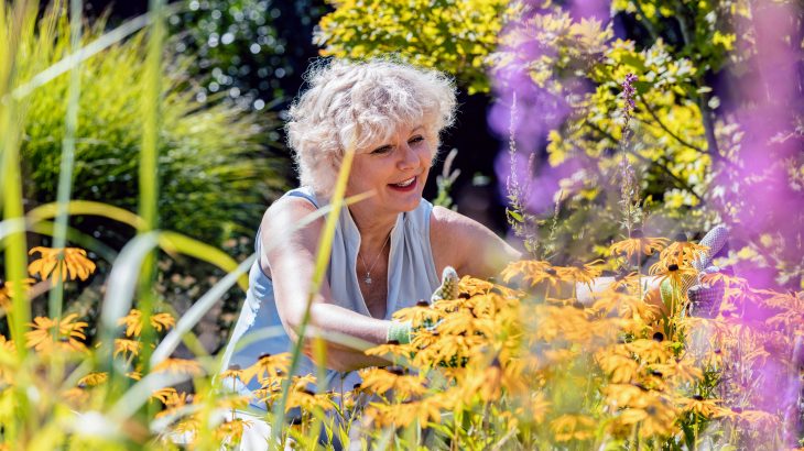 Light activity such as gardening or walking can protect mobility among aging adults without the need for intense exercise, according to a new study from UC San Diego