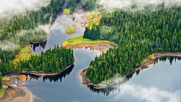 Climate change is triggering harmful ecological changes in North America's largest temperate rainforest