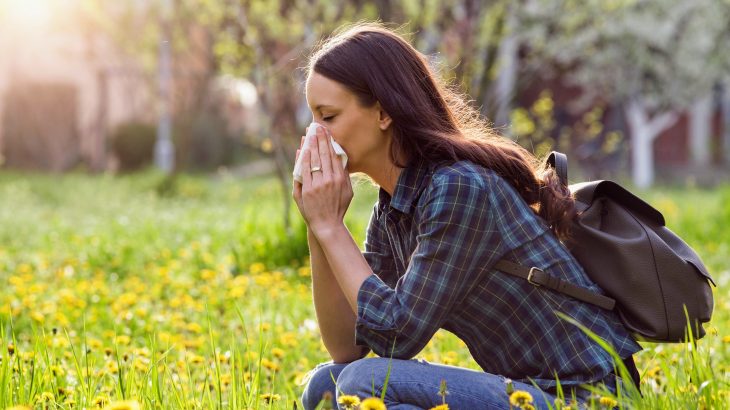 Grass pollen is responsible for respiratory conditions such as allergic asthma and hay fever.