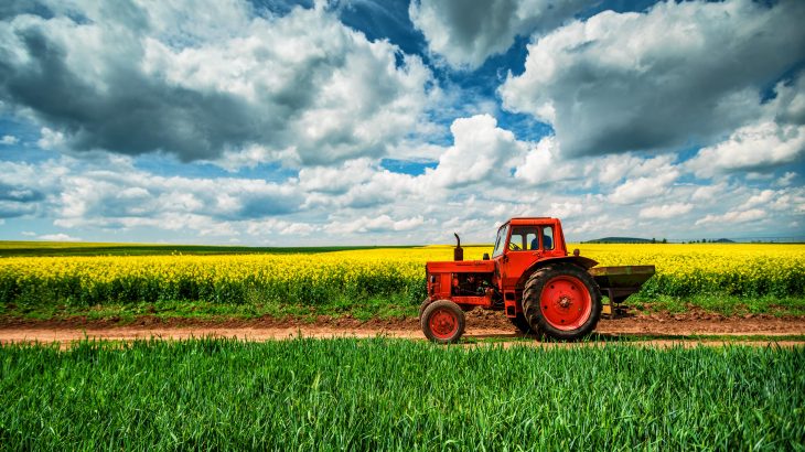 According to researchers, this is equivalent to completely losing the last seven years of growth in agricultural productivity.