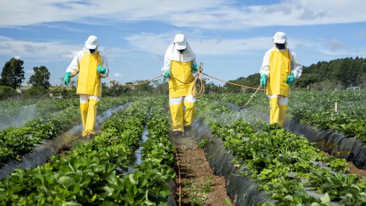 Despite claims that the negative impacts of pesticides are declining, researchers have discovered that the chemicals have become even more damaging over the past 25 years.