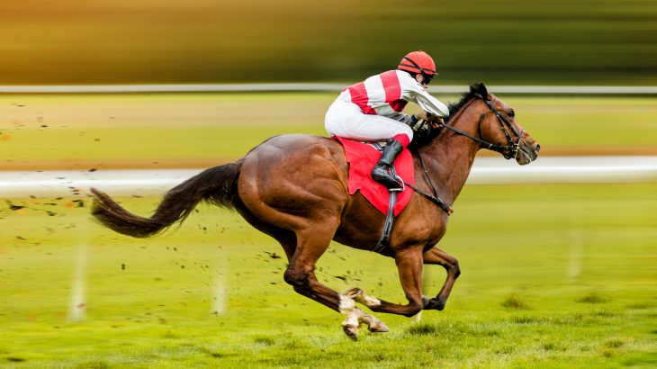 In a new study published by Frontiers, experts have discovered that bacteria in the gut of a horse communicate with cells to promote energy efficiency