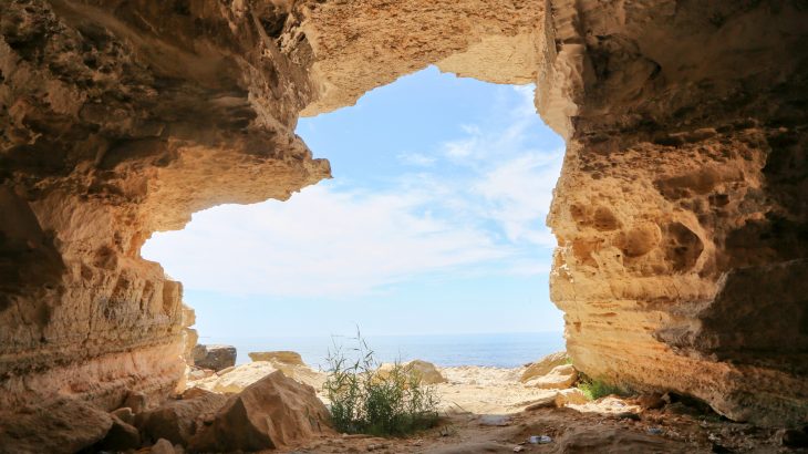 The genus Homo emerged in Africa about 2.5 million years ago, but these early humans had brains that were only about half the size of brains today