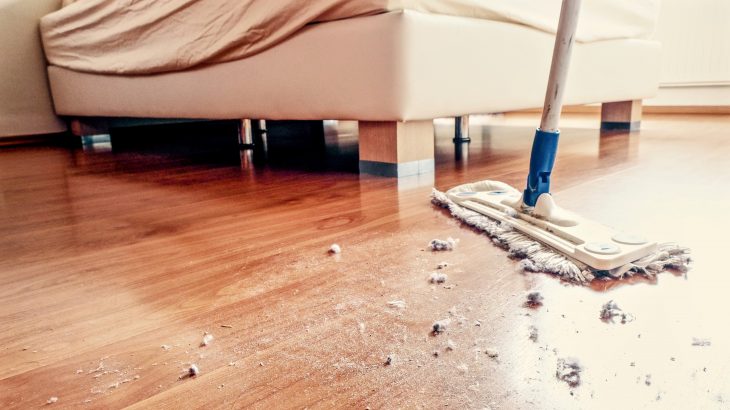 Part of the genetic material that makes up the coronavirus can persist in dust for up to a month, according to a new study from Ohio State University.