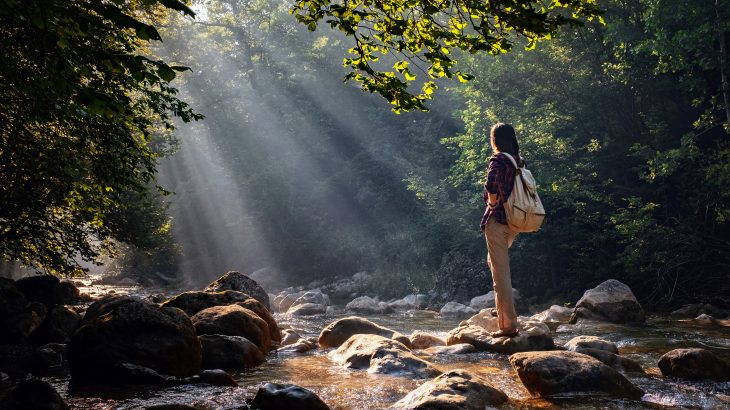 This is ten times less than the amount of remaining intact wilderness areas found in previous assessments.