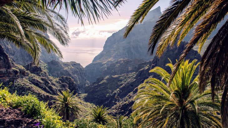 experts have discovered that the rate at which plant life changes throughout an ecosystem increases significantly after human settlement