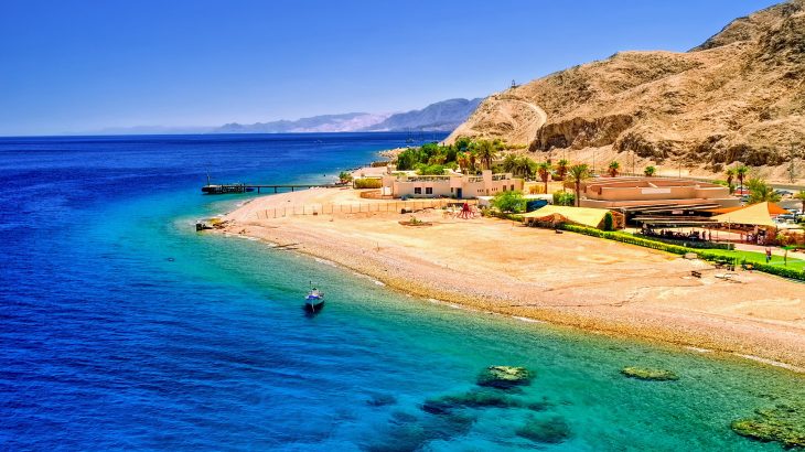 Corals in the northern Red Sea, along with their symbiotic algae, appear to be overcoming the threat of global warming.