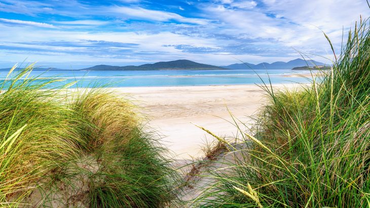 When it comes to achieving net zero climate change targets, rewilding the ocean is just as important as reforestation, according to a new report from the Marine Conservation Society (MCS).