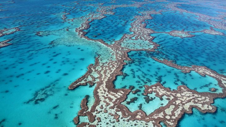 New research has revealed that while we still have a chance to save coral reefs, time is quickly running out.