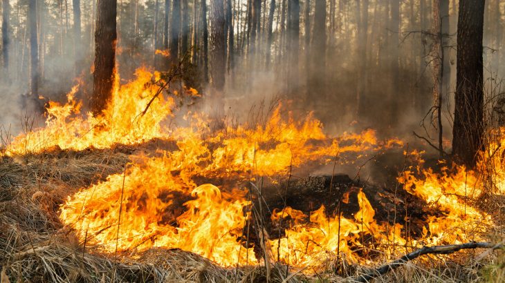 Smoke particles preserved in the ice core record show that more fires were burning in the Southern Hemisphere during pre-industrial times than previously thought