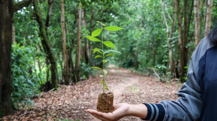 The world must honor its commitment to restore at least one billion degraded hectares of land in the next decade in order to address the triple threat of climate change