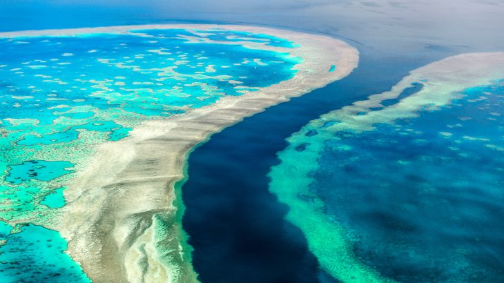 Scientists have found a way to delay ocean acidification around the Great Barrier Reef.