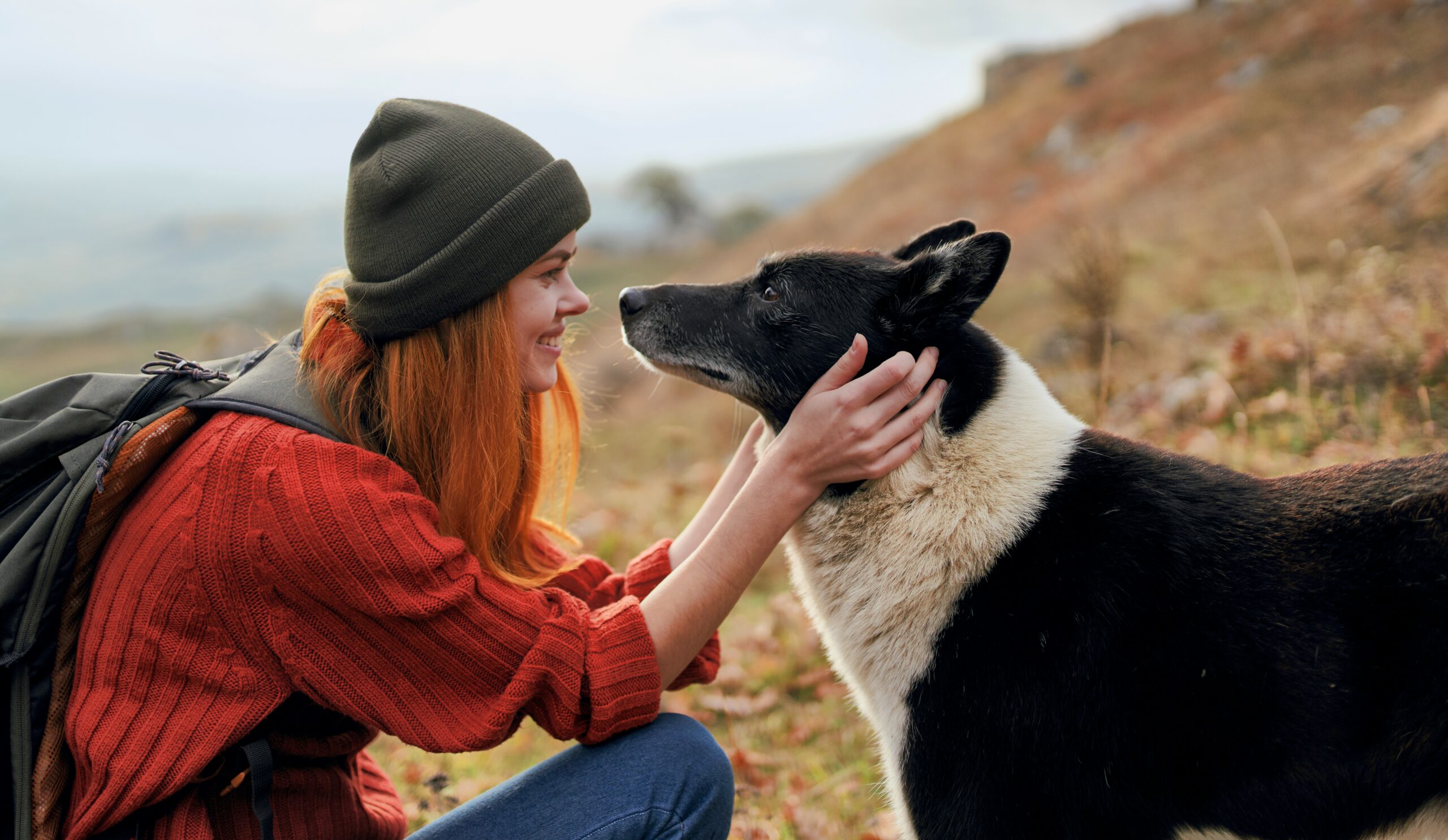 Dogs attached to their owner's voice