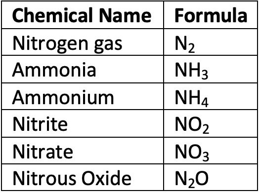 why-is-the-nitrogen-cycle-so-important-earth