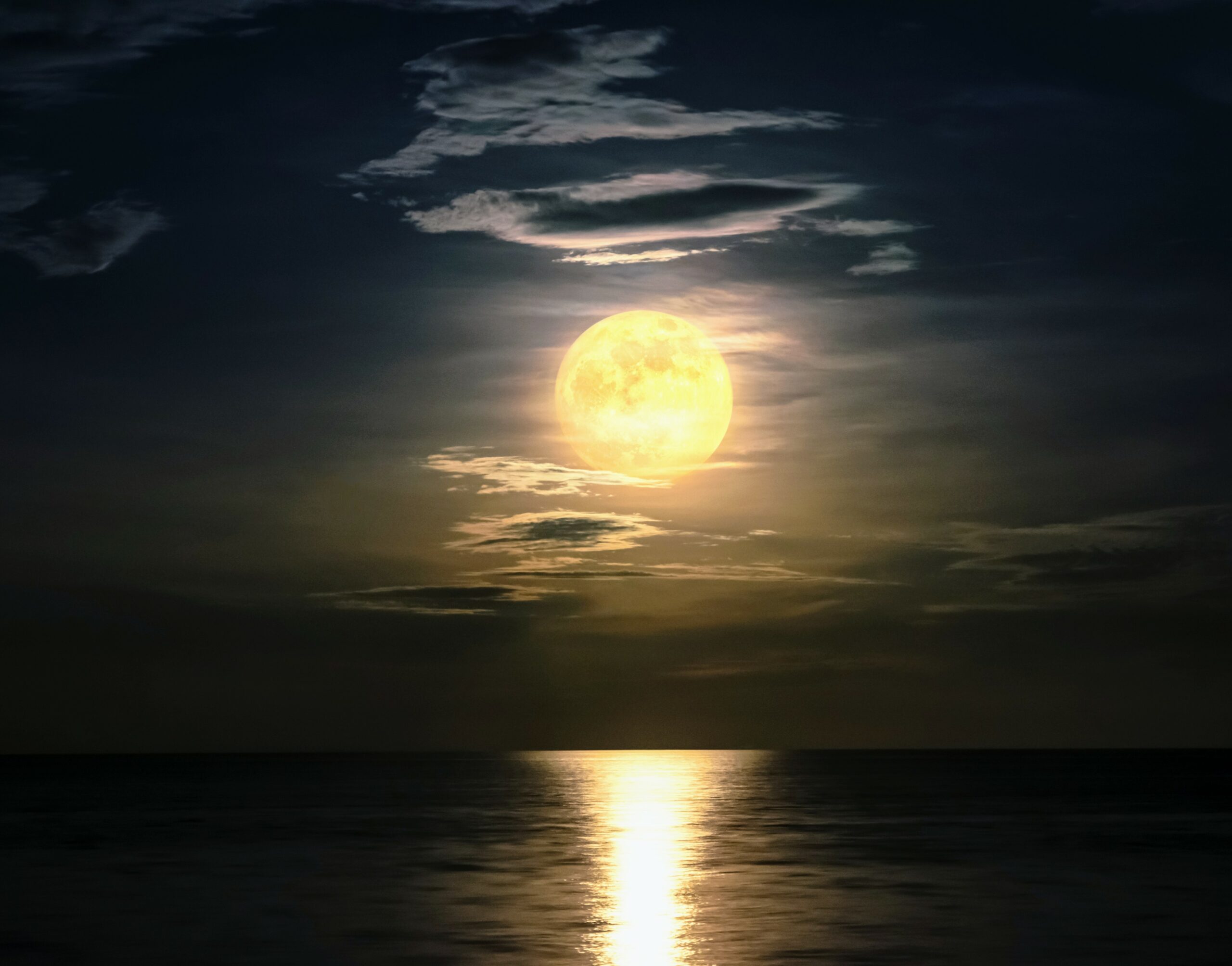 All living things are affected by gravitational tides