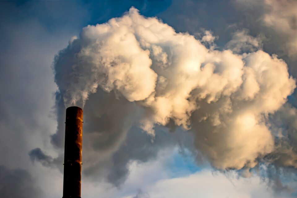Air pollution linked to a greater risk of autoimmune disease •