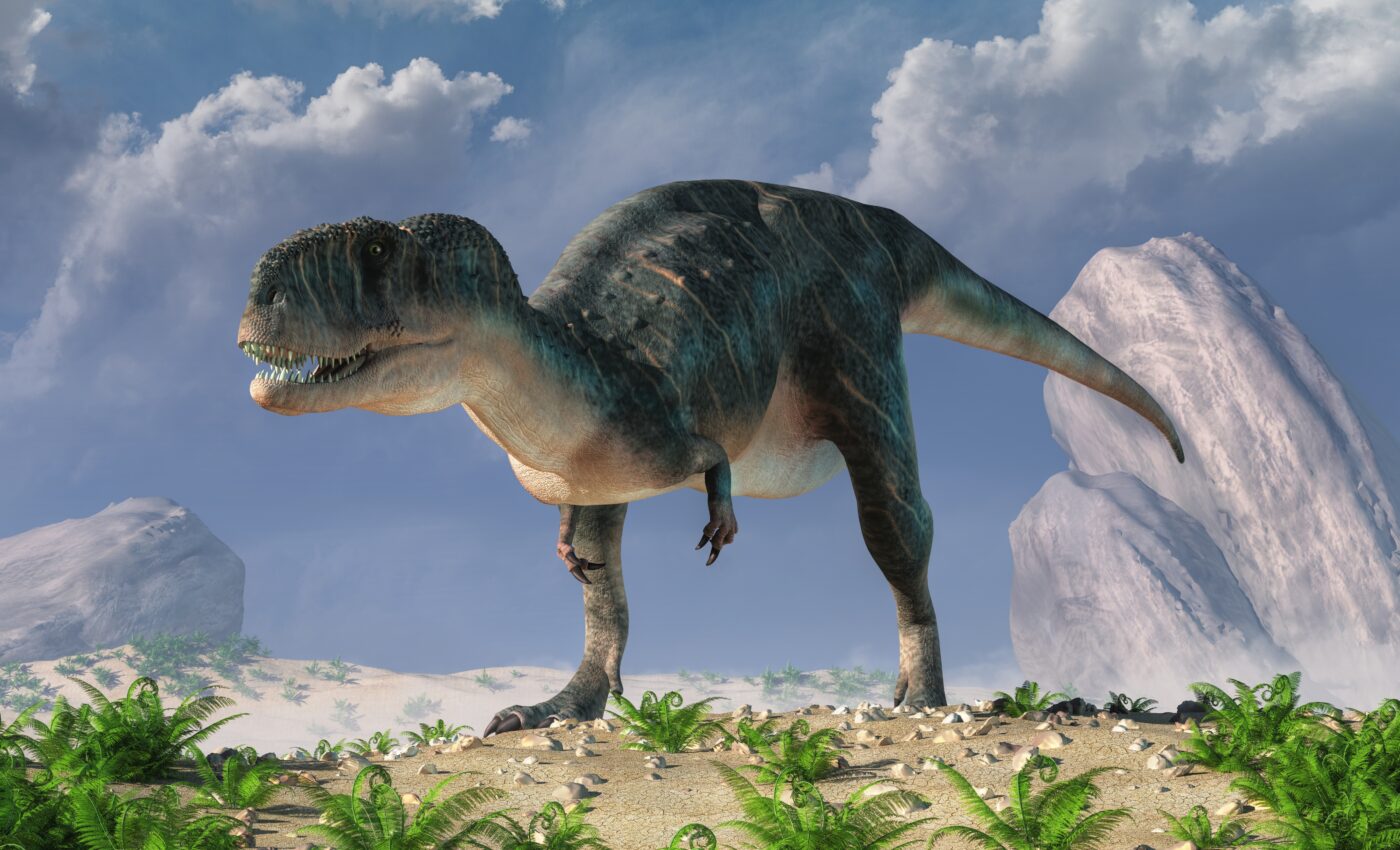 Into the World of Megaraptor: Examining Its Extraordinary Characteristics - Conclusion