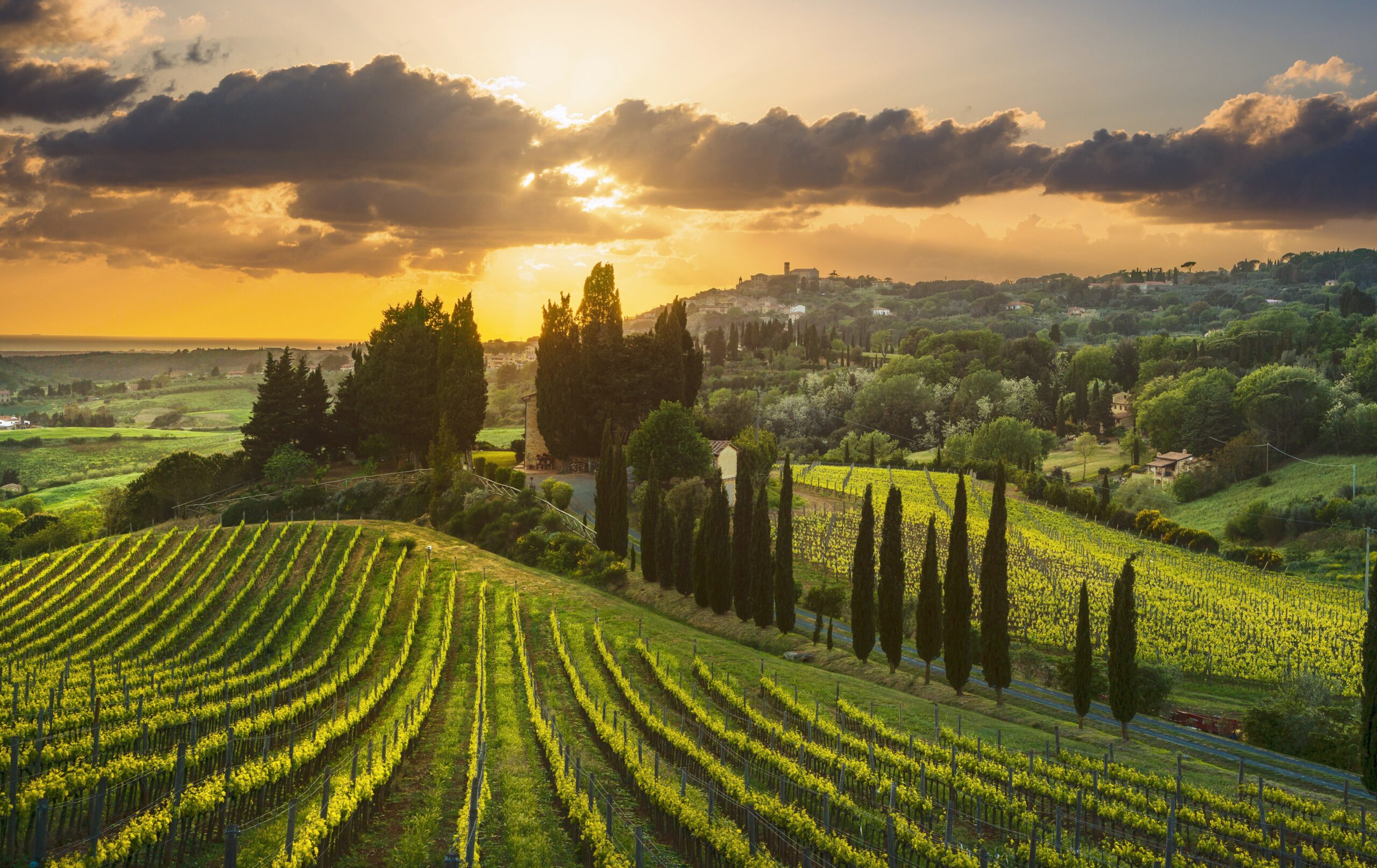 European farmland is a huge reservoir of microplastics