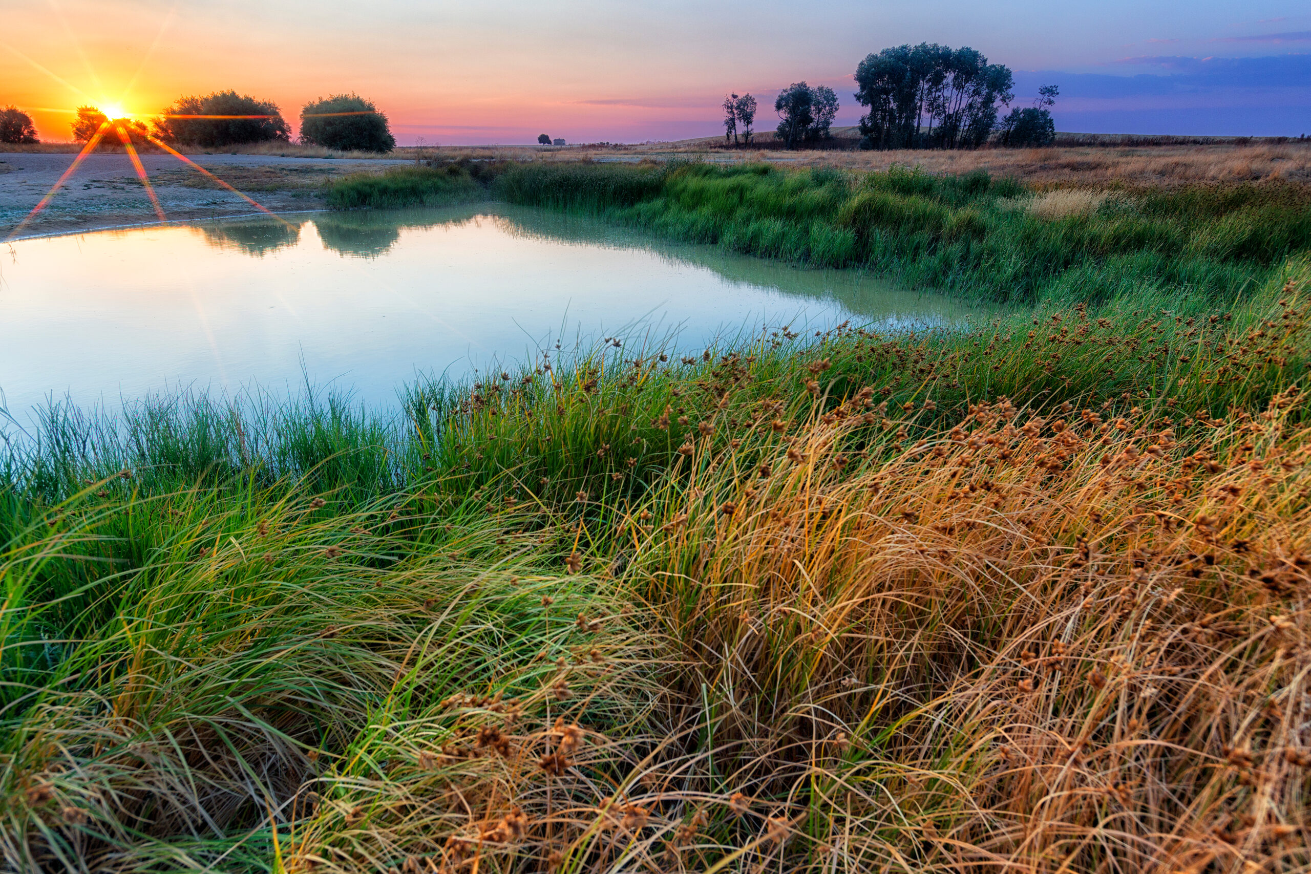 Wetlands are caught in a battle between CO2 and rising seas - Earth.com
