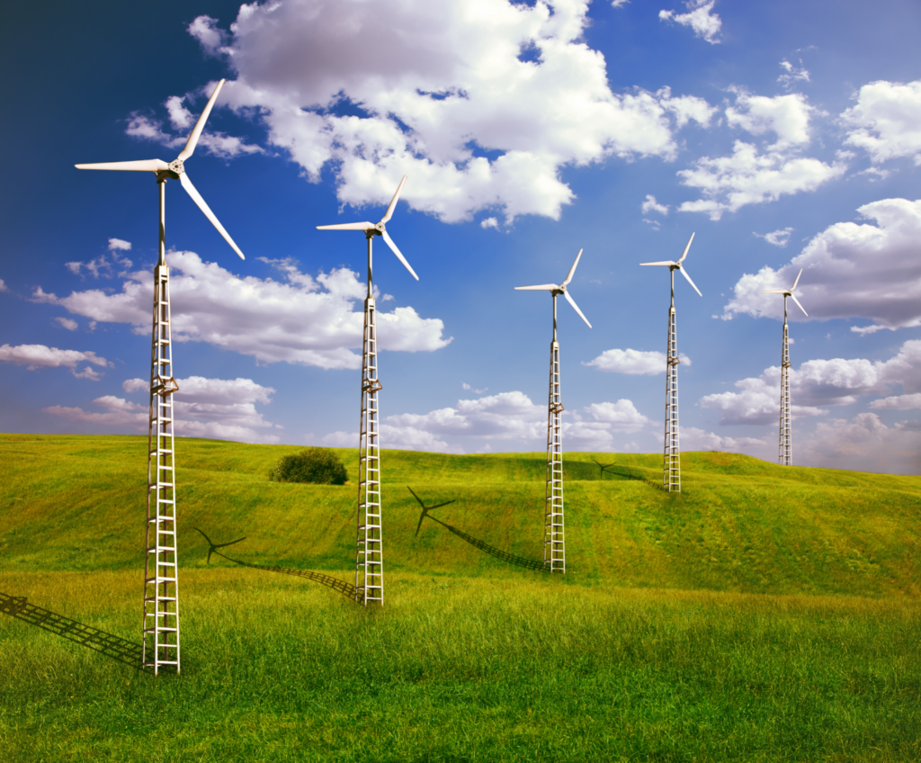 Bat deaths caused by wind turbines disrupt natural food chains