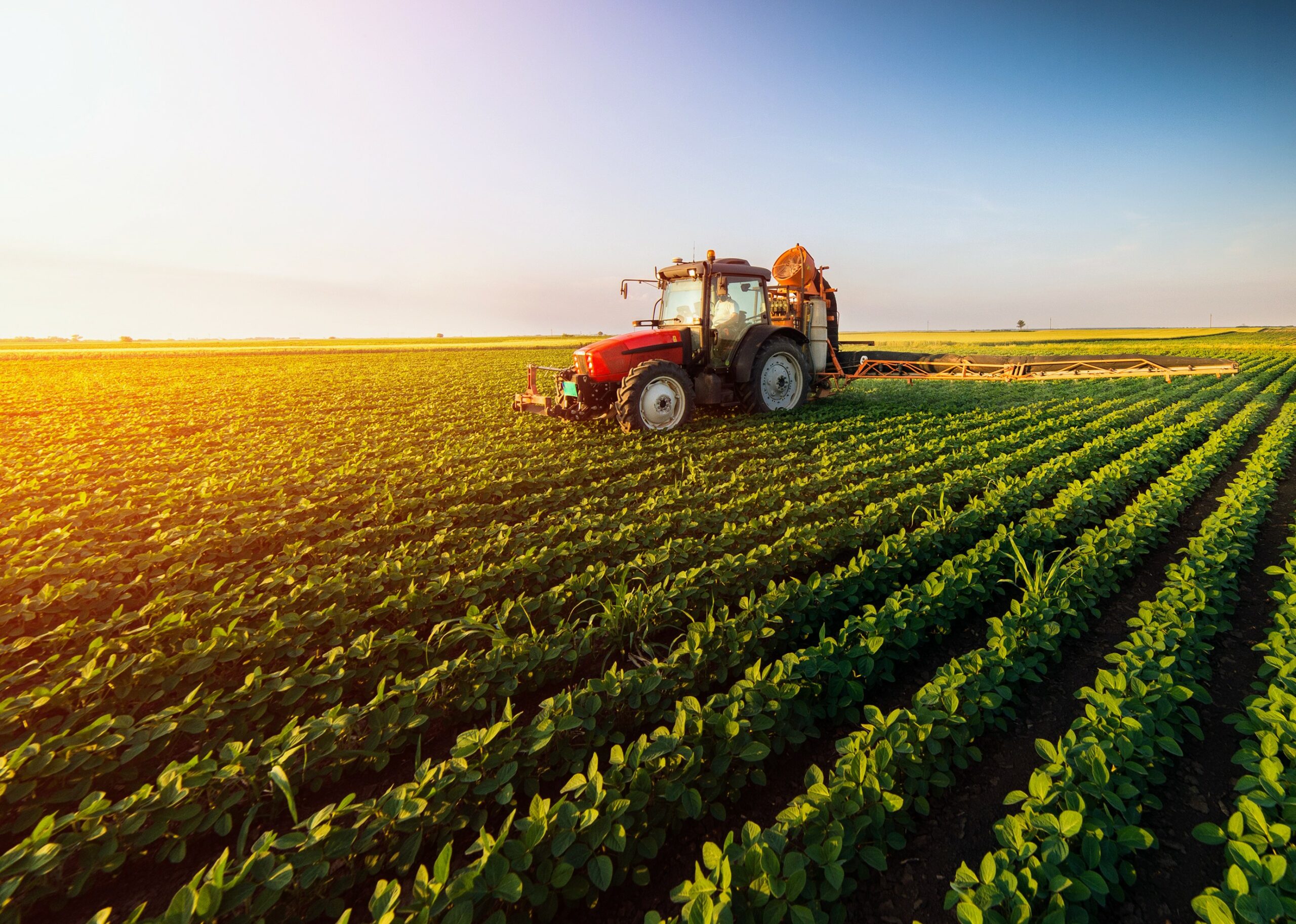 Agricultural emissions negatively impact our health Earth com Agricultural emissions negatively impact our health Earth com