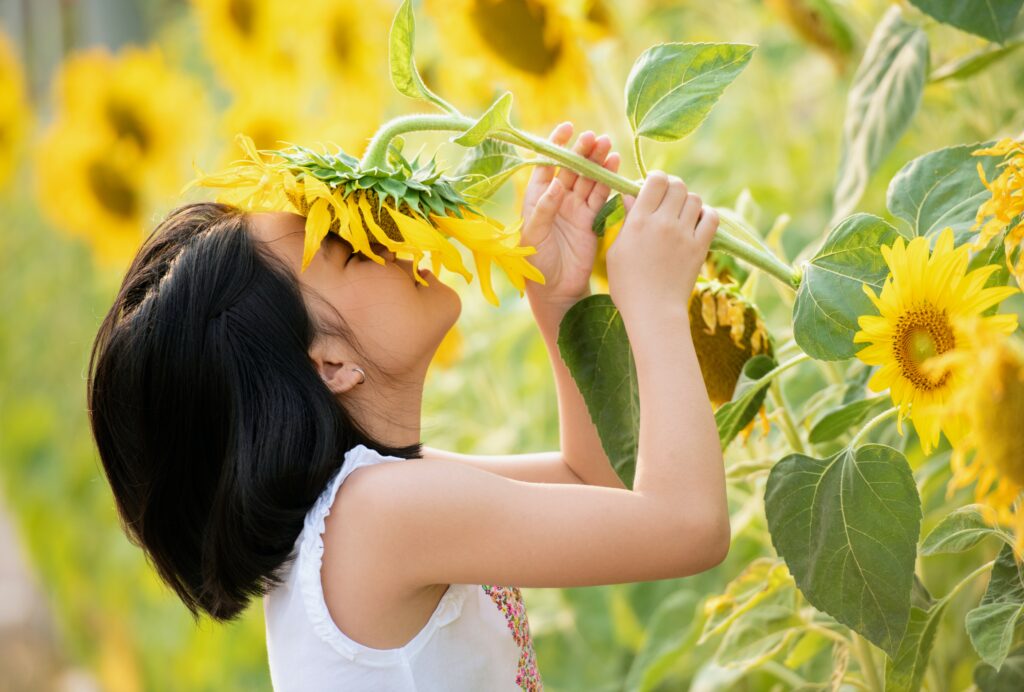Smells in nature help us feel more relaxed and cheerful