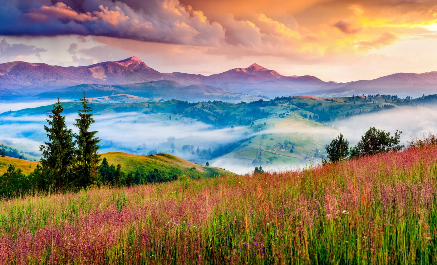 Nature