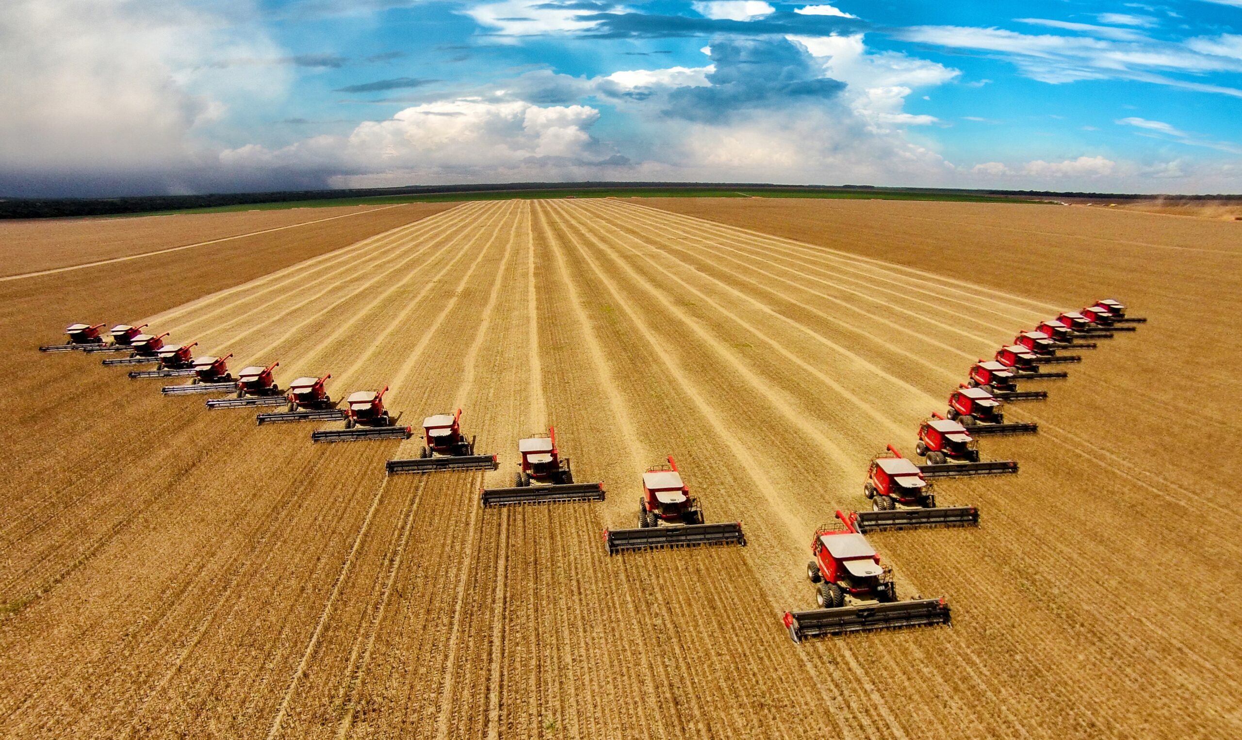 Food production affects Earth’s natural processes