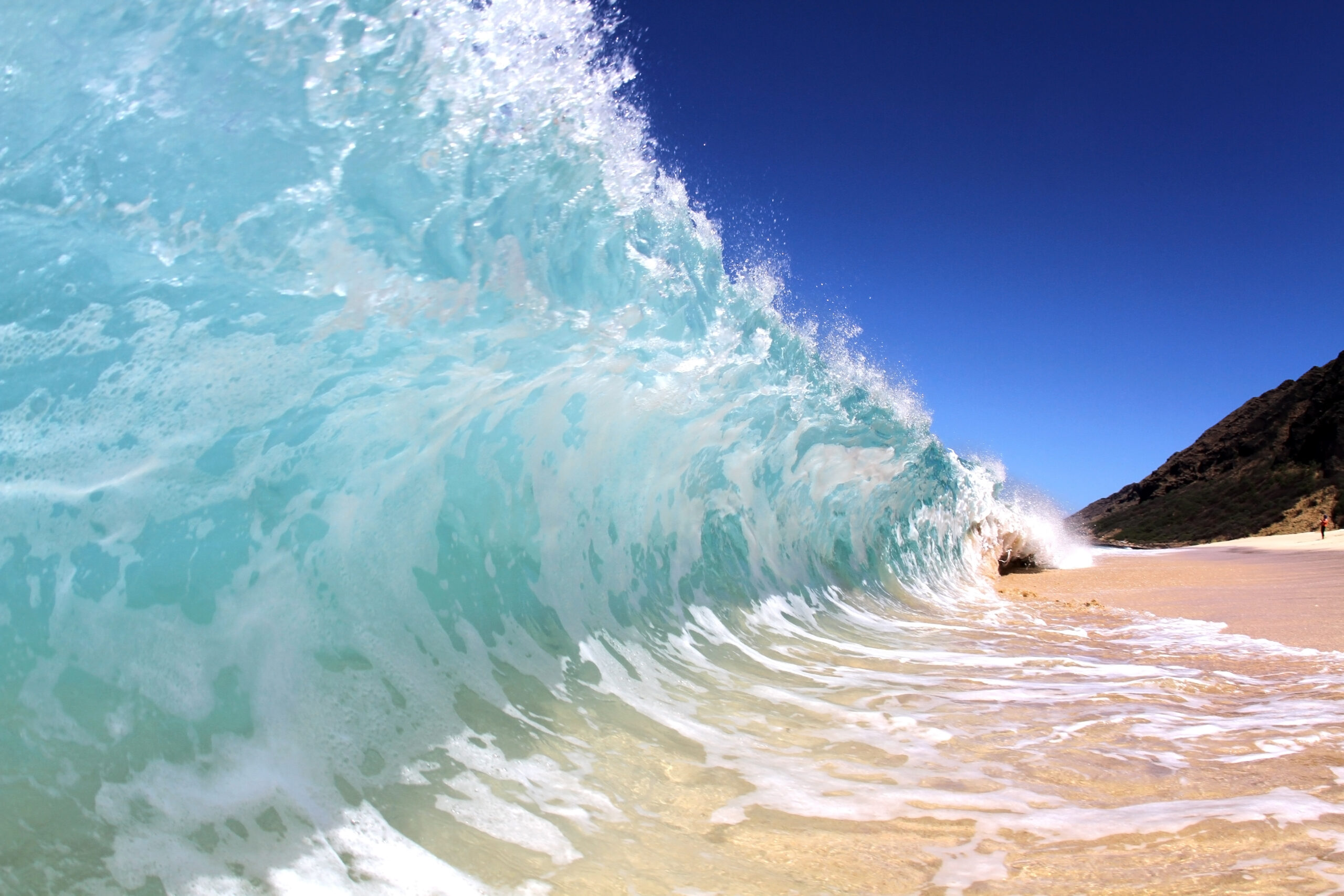 Tsunami Wave Pictures