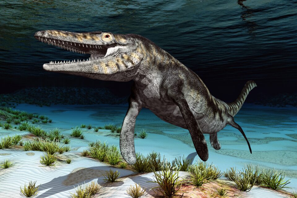 Terrifying Mosasaur Dominated The Ocean 66 Million Years Ago Earth Terrifying Mosasaur Dominated The Ocean 66 Million Years Ago Earth