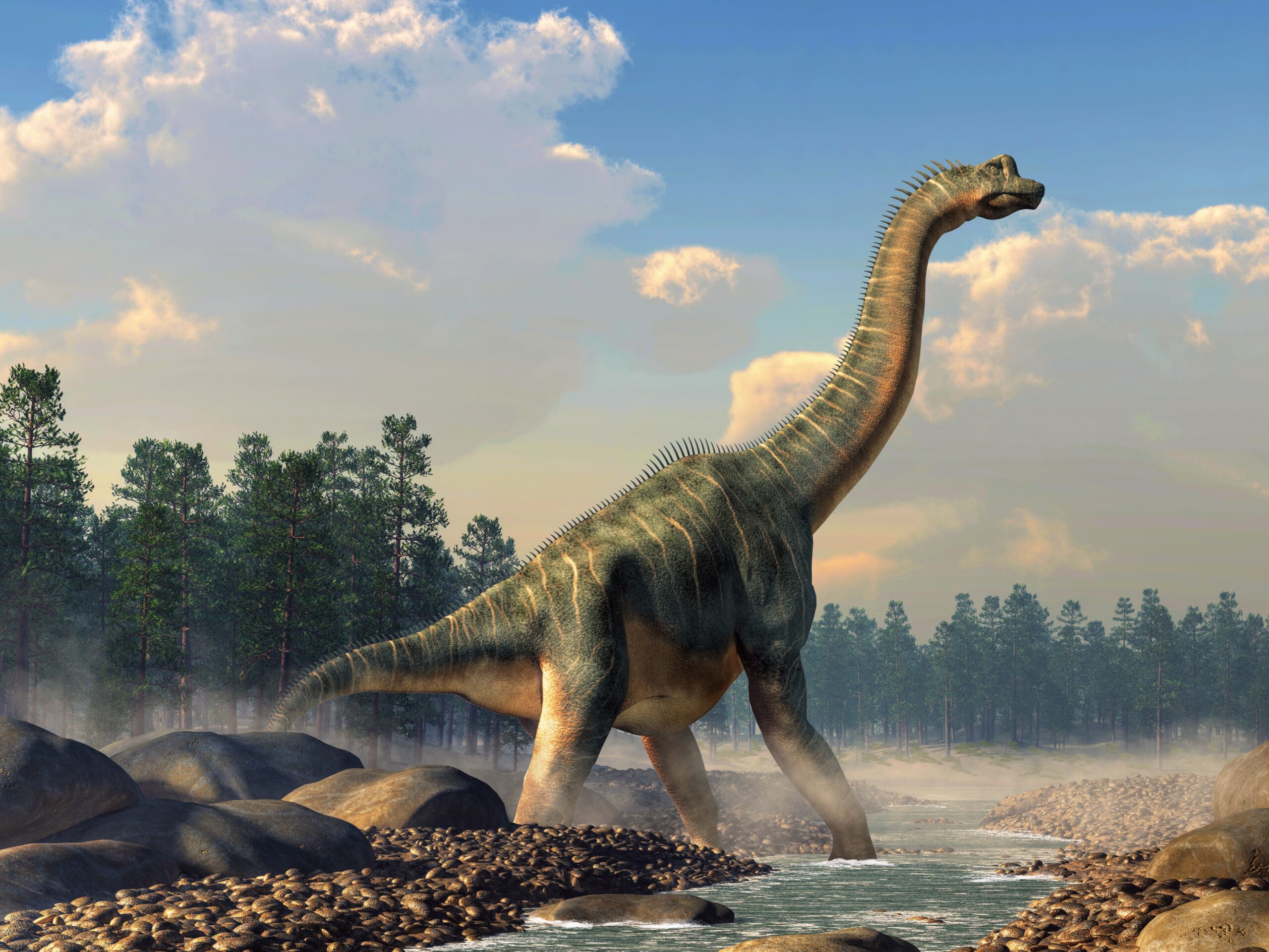 Largest Dinosaur Skeleton In Europe Discovered In Portugal Earth