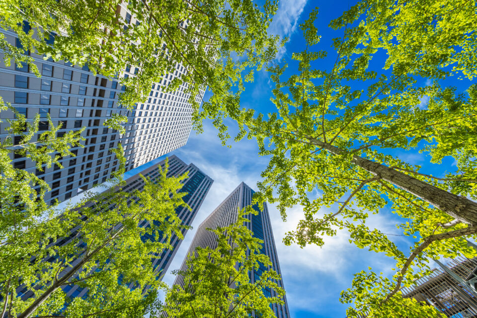 The majority of urban trees are threatened by climate change •
