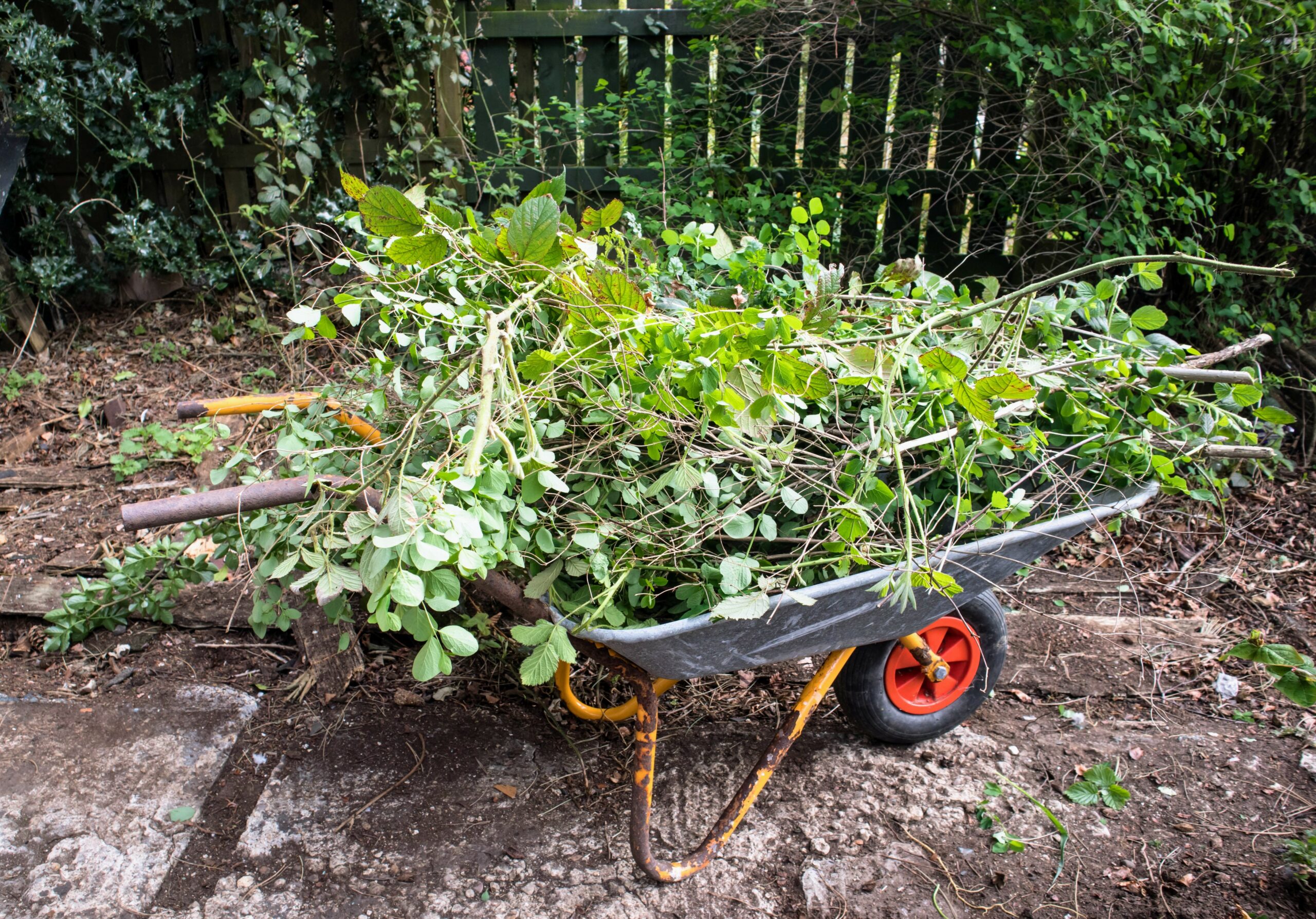 Garden Waste Could Store 600 000 Tons Of CO2 Annually Earth