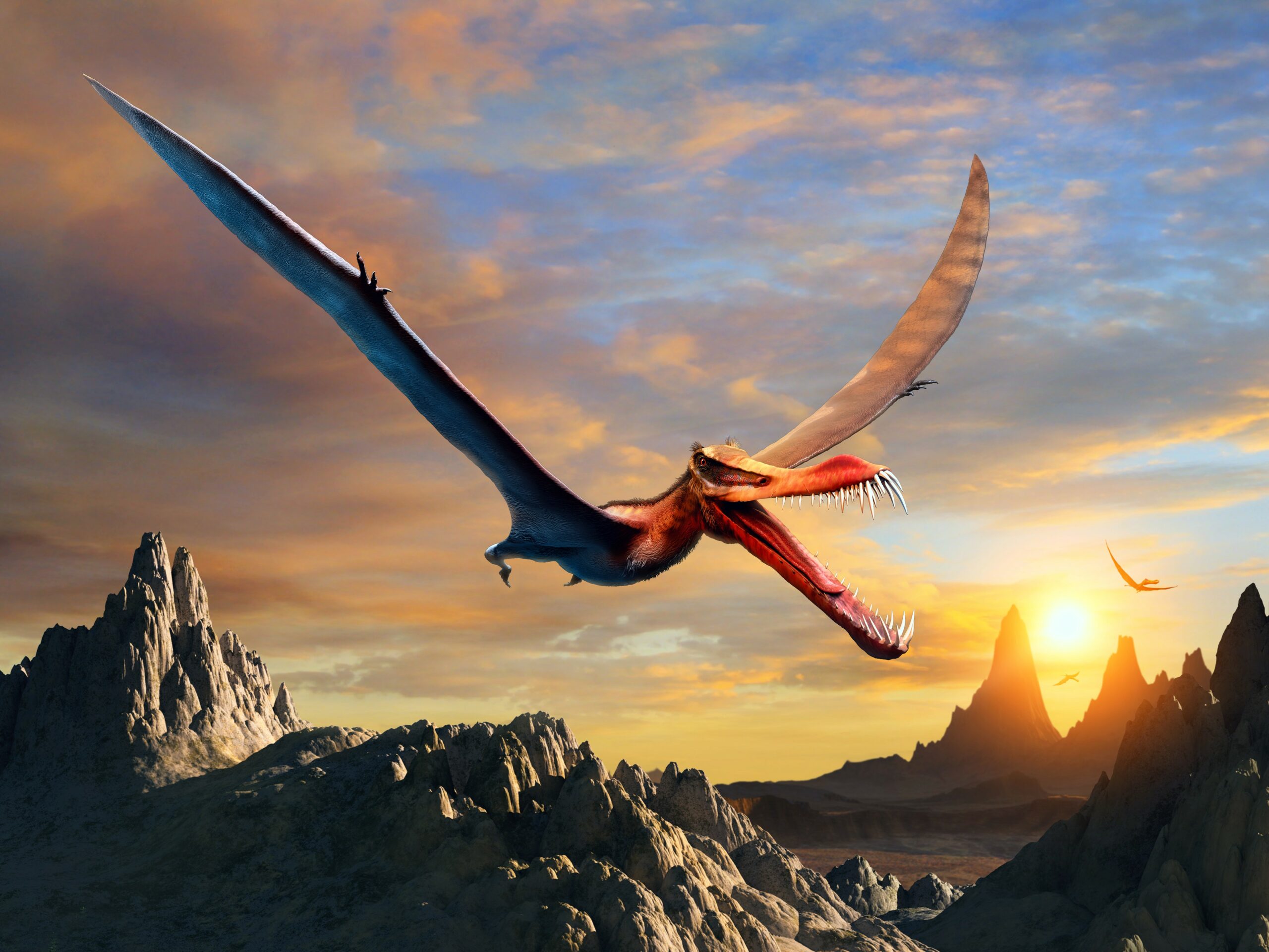Cretaceous Flying Dinosaurs Cretaceous Flying Dinosaurs