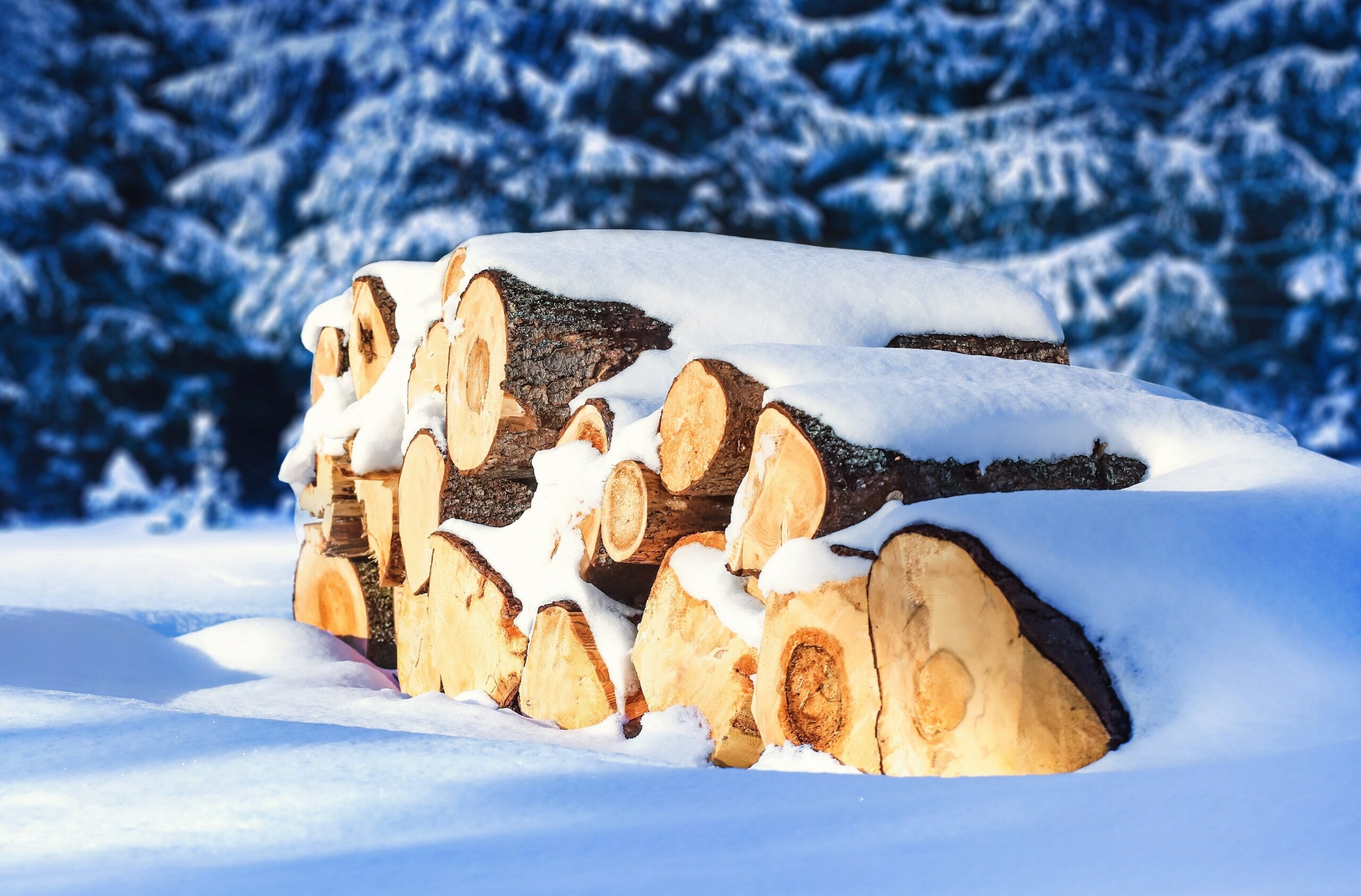 Scientists harvest electricity from wood soaking in water