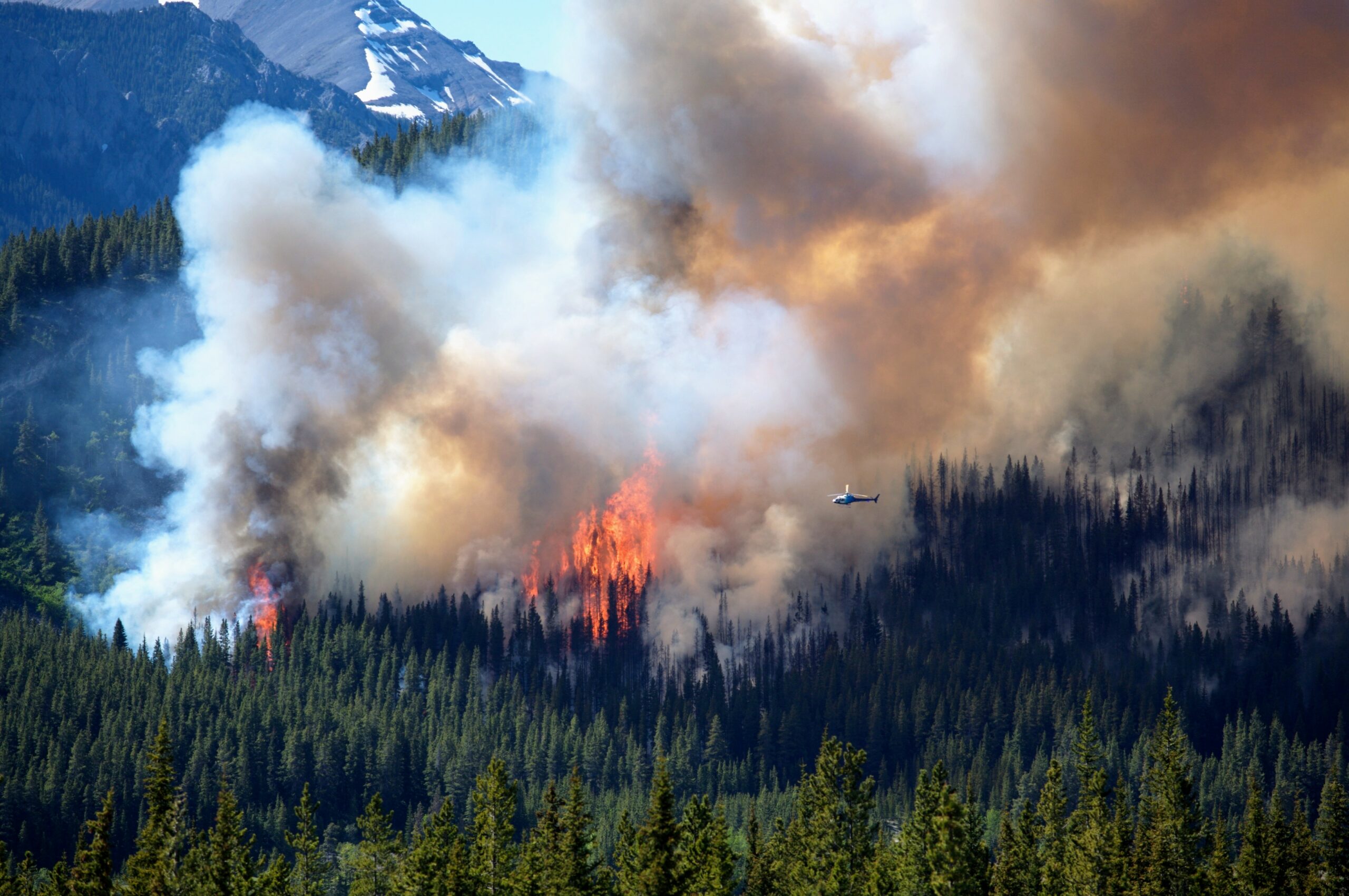 Recordbreaking amount of CO2 released by wildfires in 2021 TrendRadars