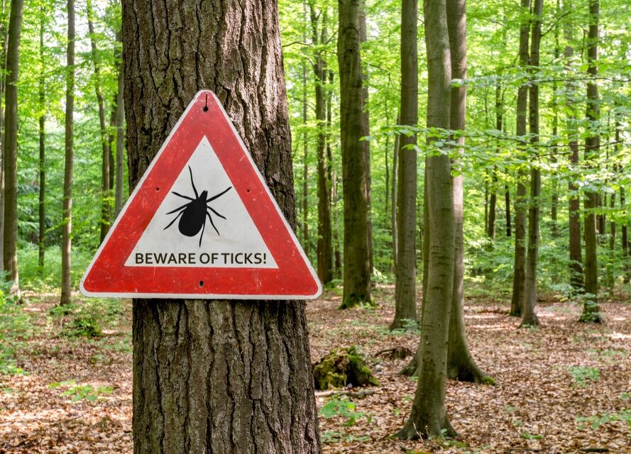 Ticks are highly resilient to extreme temperatures •