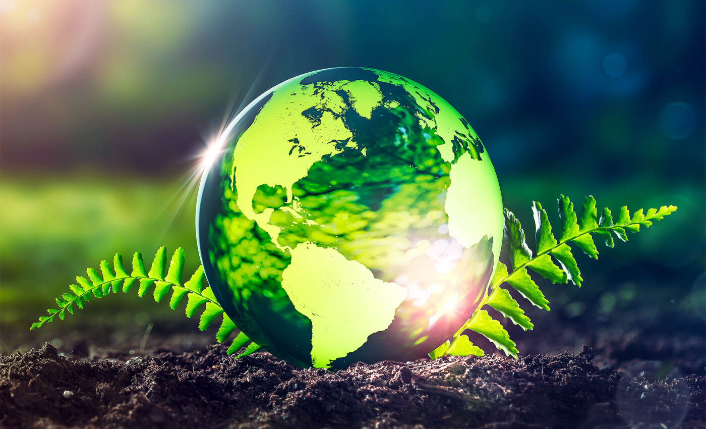 Can plants continue offsetting our carbon emissions in a warming world? -  Earth.com