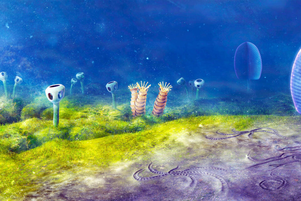 When Did The First Animals Appear On Earth We Are Now One Step Closer 