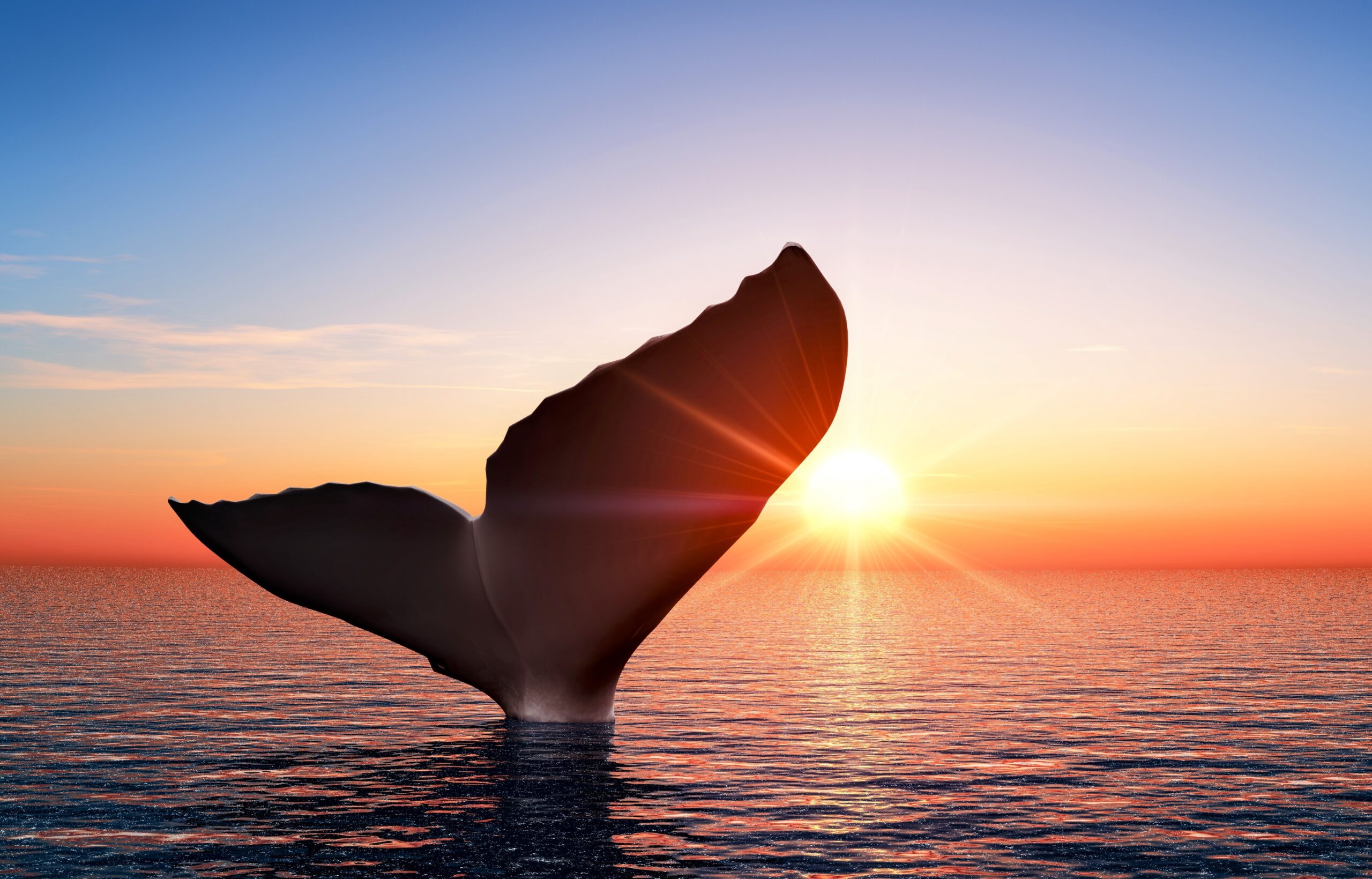 Prosimians: Their Evolutionary Journey   You Won'T Believe This! - ynpogok